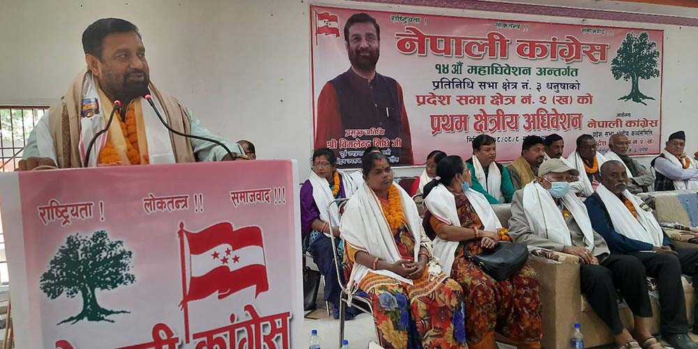 देशको विद्यमान समस्या समाधान कांग्रेसले गर्न सक्छ : उपसभापति निधि